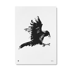 Poster Raven