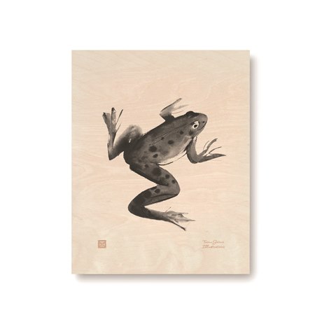 Plywood Poster Frog